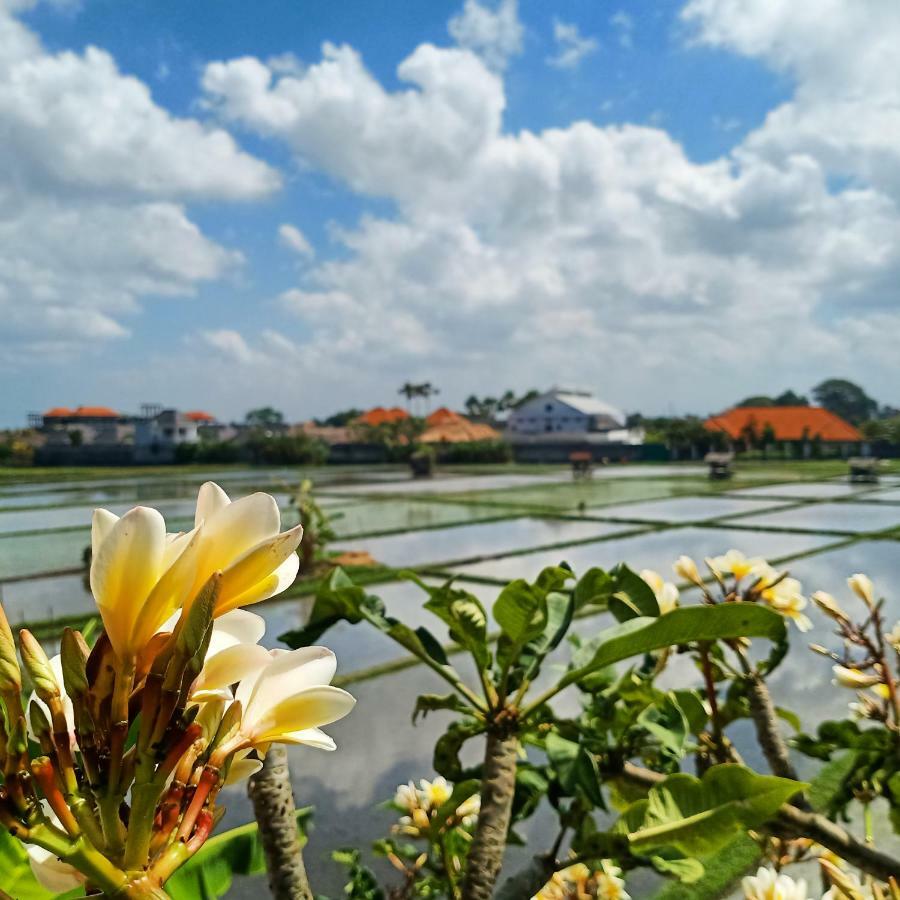 The Avani Villas Кута Екстер'єр фото
